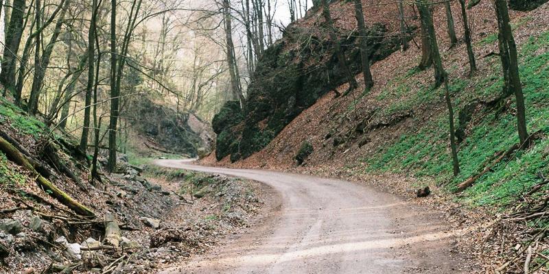 河南布尔33：以网络技术驱动企业数字化转型，打造卓越网站开发与SEO优化解决方案