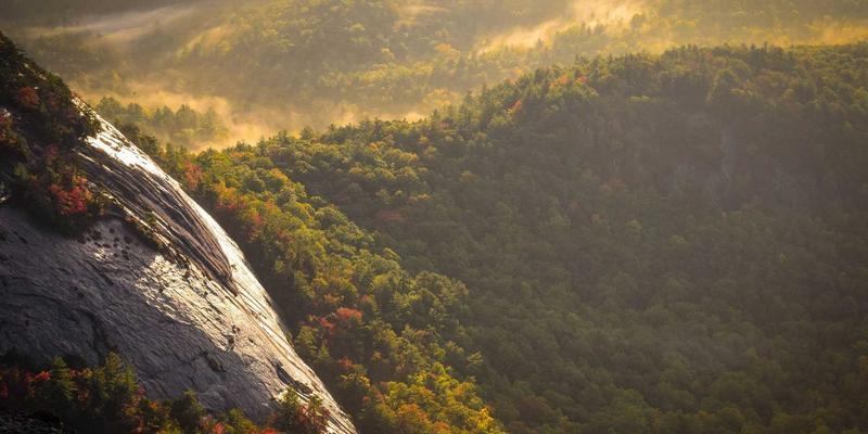 河南布尔40：电子商务、网络技术与网站开发的创新融合实践