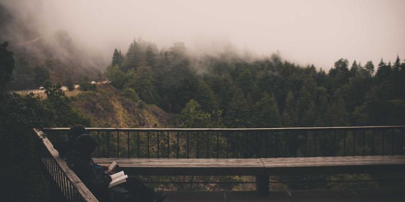 河南布尔45：以专业网站开发驱动企业数字化转型的核心引擎