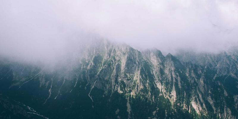 河南布尔50：数字化转型浪潮下的数字营销与电子商务新范式