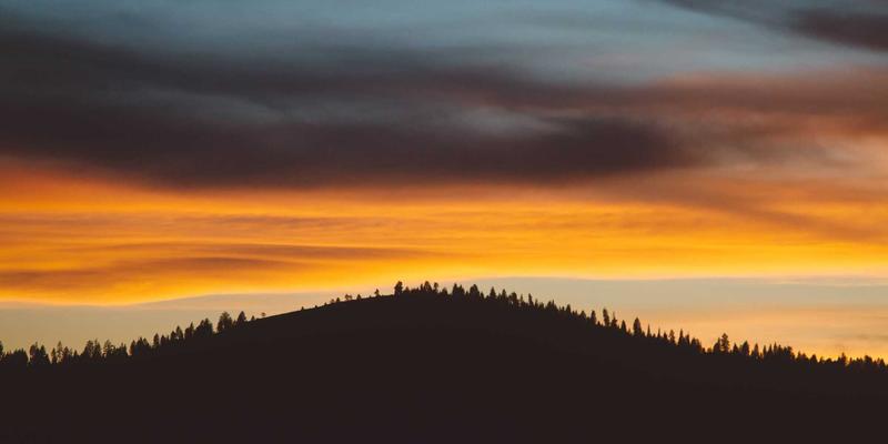 河南布尔52:数字化转型浪潮中的网络技术先锋