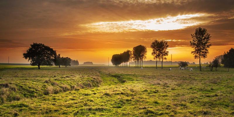 河南布尔56：融合SEO优化与网络技术，驱动电子商务新增长