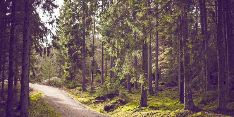 河南布尔63：专业SEO优化与网站开发，驱动企业数字化增长