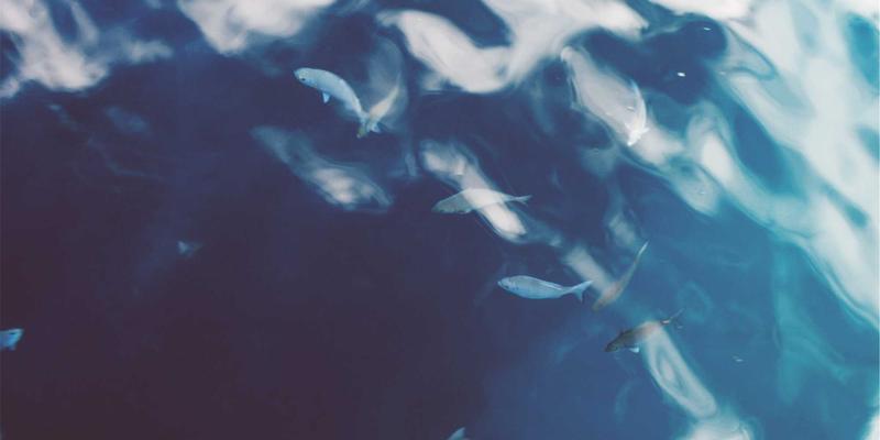 河南布尔75：深耕网站开发与网络技术，驱动中原企业数字化转型