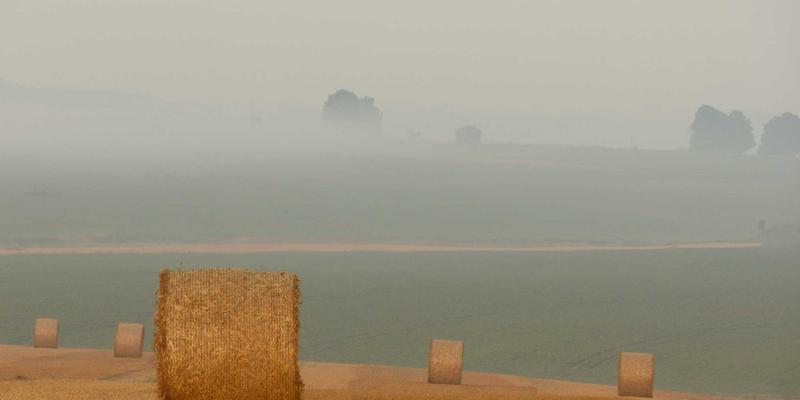 河南布尔7：数字营销、网络技术与电子商务的融合创新