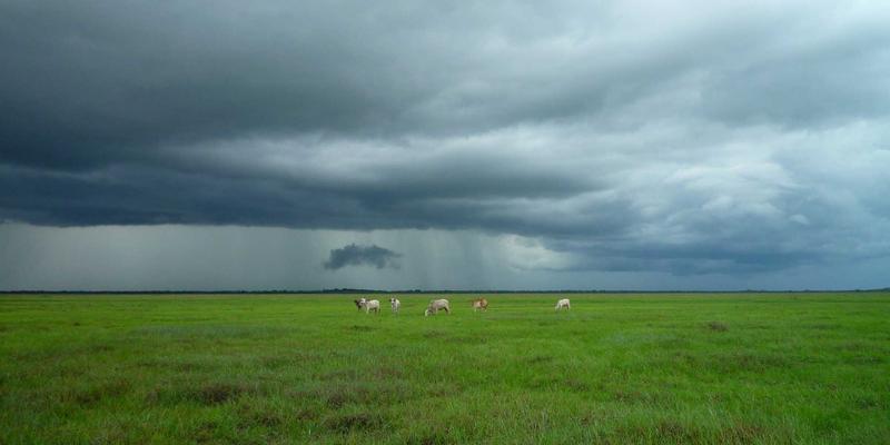 河南布尔对比：网络技术、SEO优化与数字化转型的协同演进
