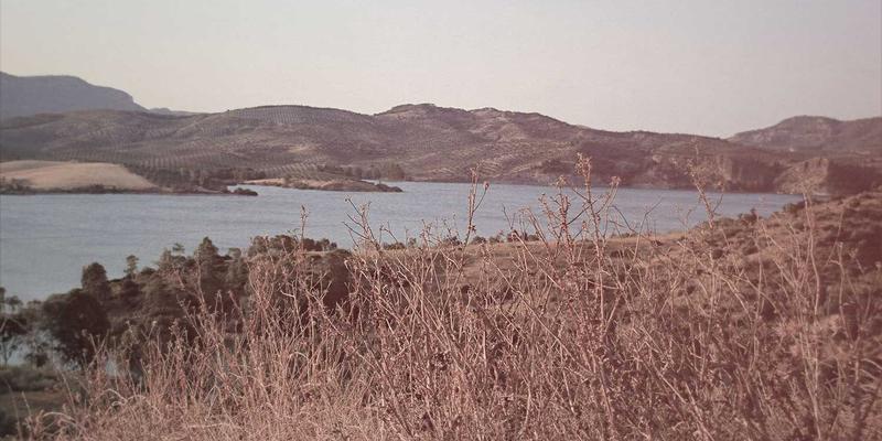 河南布尔：数字化转型浪潮中的电子商务新势力