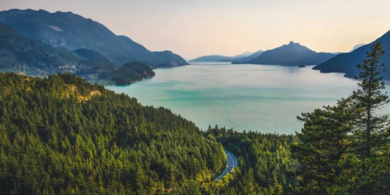 河南布尔：数字化转型浪潮中的网络技术先锋