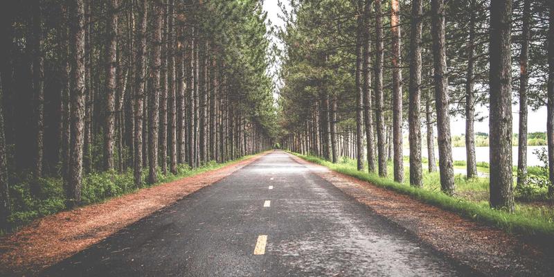 河南布尔智能制造解决方案：如何通过网站开发与SEO优化驱动数字营销增长