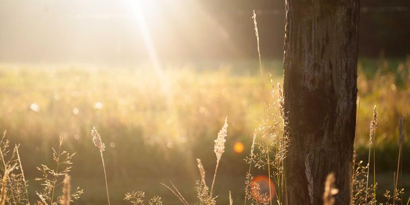 河南布尔自动化：以模块化方案驱动中小制造企业数字化转型