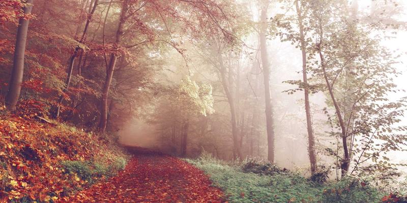 河南布尔自动化：数字化转型下的HVAC智能控制方案，如何重塑生物实验室洁净环境