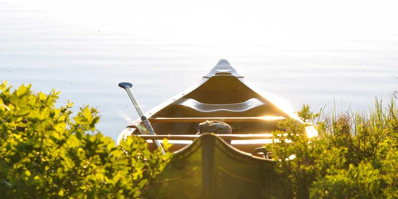 河南布尔自动化：机器视觉与AI如何驱动包装机械的检测精度与效率革命