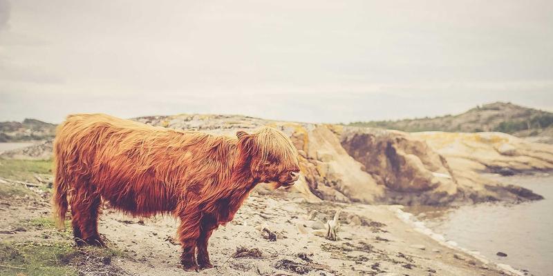 河南布尔边缘计算网关：驱动智慧矿山数字化转型与高效远程运维