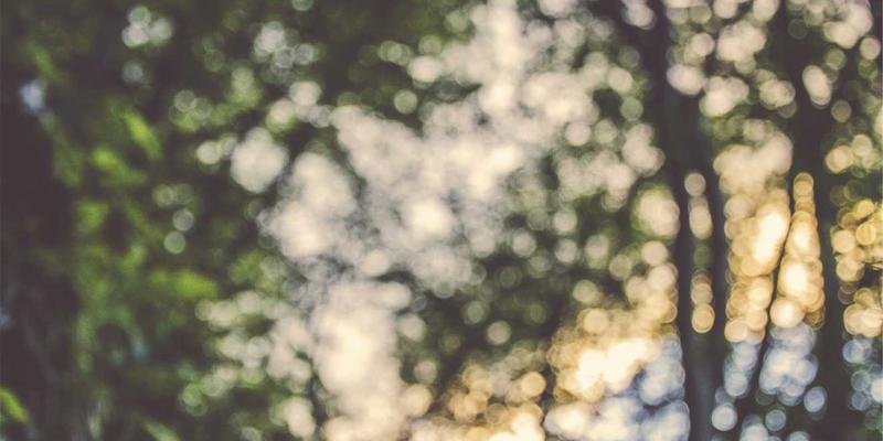 网络技术与数字营销双轮驱动：河南布尔新能源电池生产线自动化集成案例深度剖析