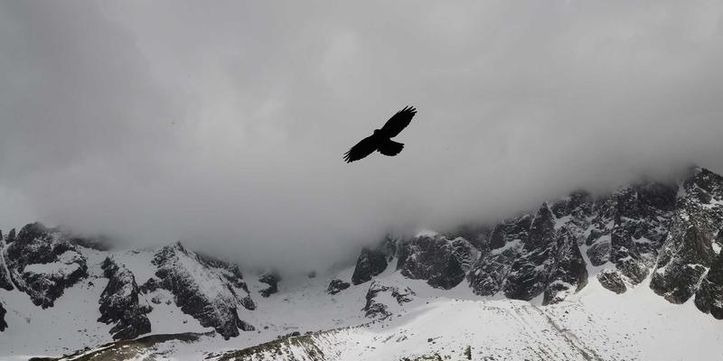 网络技术赋能数字化转型：河南布尔工业网关在数据采集与边缘计算中的关键作用
